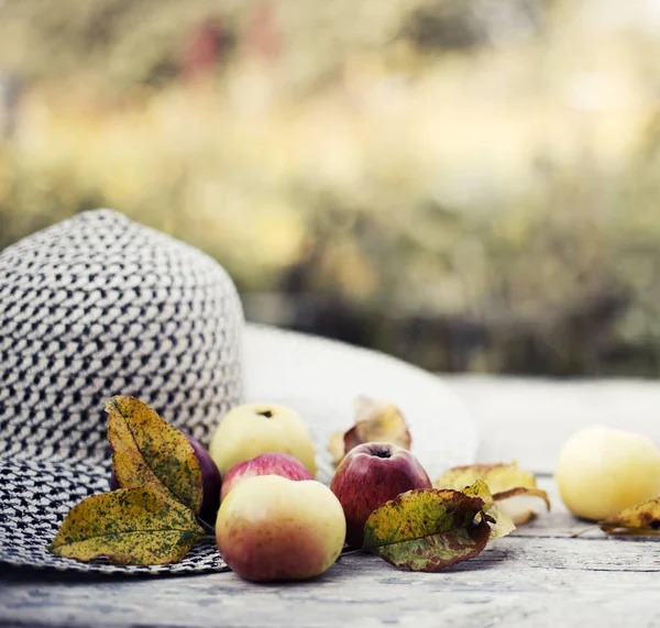 Sombrero Femenino Con Manzanas Sobre Fondo Naturaleza Borrosa —  Fotos de Stock