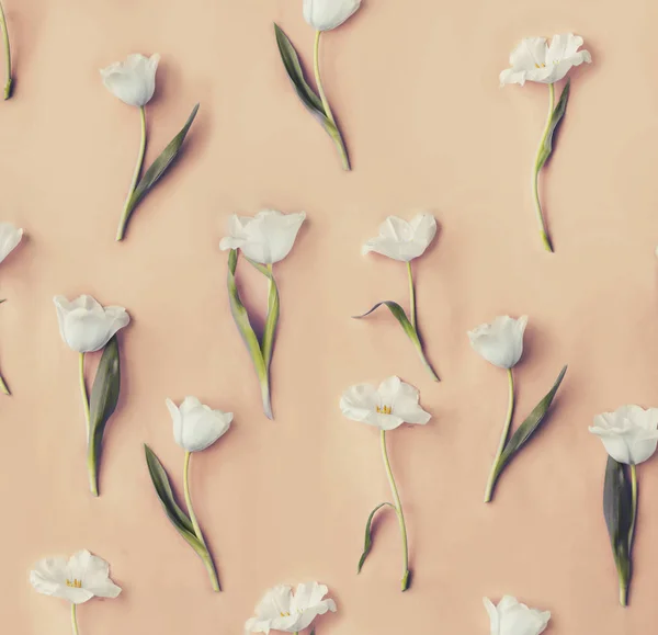 Detailní Pohled Krásná Nabídka Tulipány Pastelové Pozadí — Stock fotografie