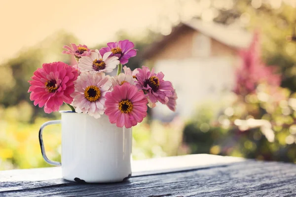 Rosa Chrysanthemen Rustikalen Becher Auf Holztisch — Stockfoto