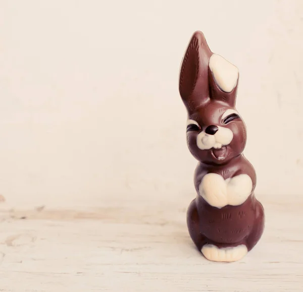 Lezzetli Çikolata Paskalya Tavşanı Kopya Alanı Ile — Stok fotoğraf