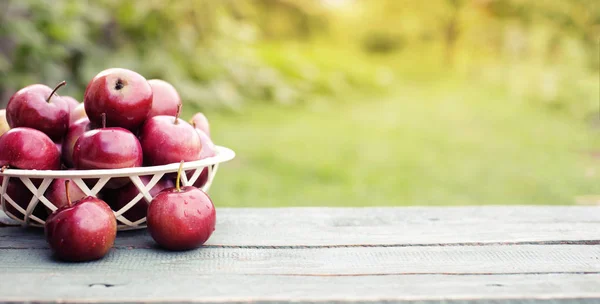 Manzanas Rojas Enteras Cesta Sobre Mesa Madera Jardín — Foto de Stock