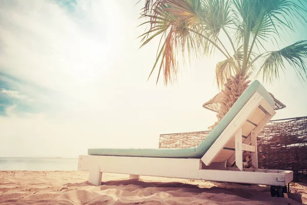 Tranquil Scenery Relaxing Tropical Landscape Sandy Beach Chaise Lounge — Stock Photo, Image