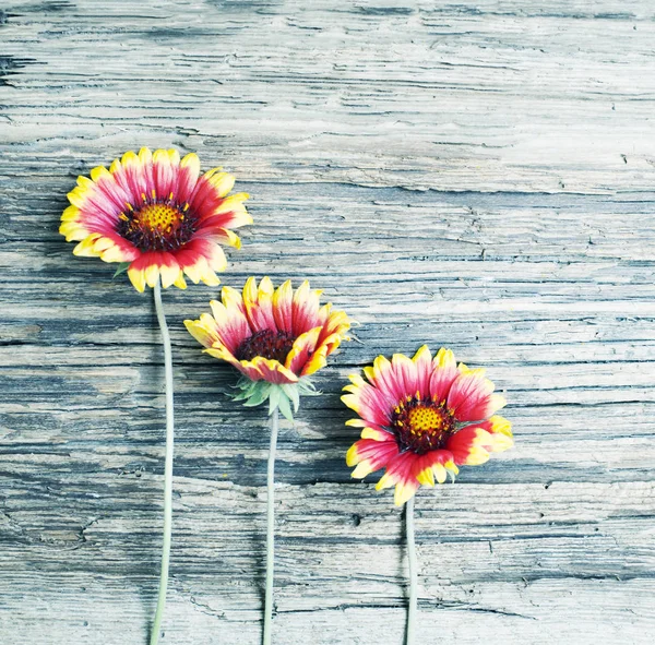 Blick Von Oben Auf Schöne Sonnenblumen Über Holzhintergrund — Stockfoto