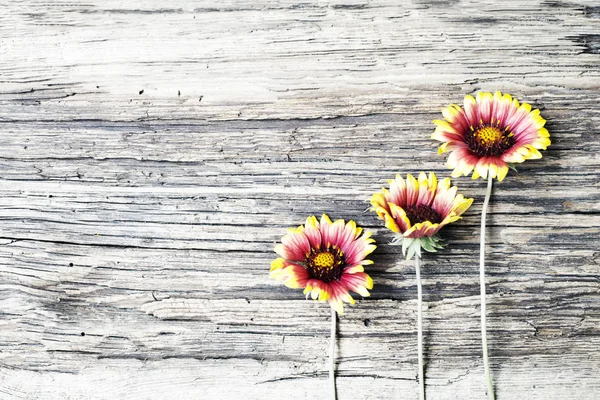 Blick Von Oben Auf Schöne Sonnenblumen Über Holzhintergrund — Stockfoto