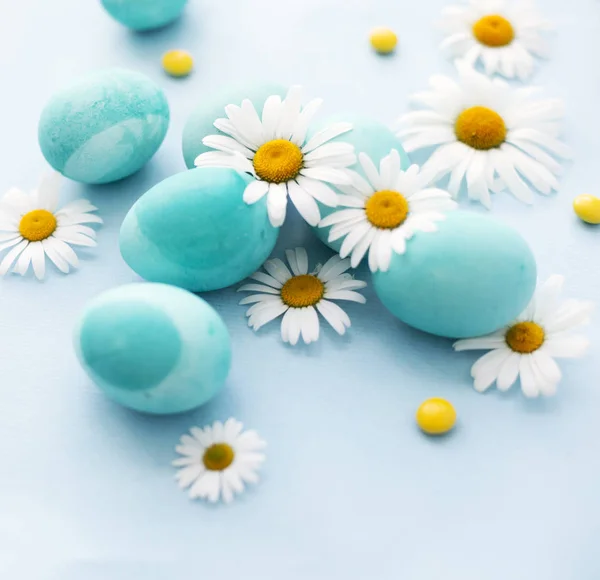 Oeufs Pâques Colorés Avec Des Fleurs Marguerite Sur Fond Blanc — Photo