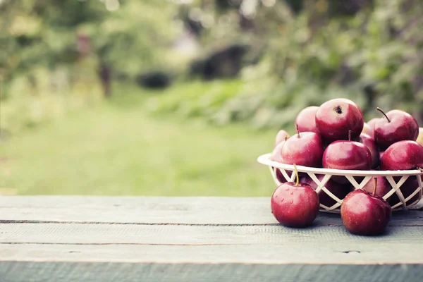 Manzanas Rojas Enteras Cesta Sobre Mesa Madera Jardín — Foto de Stock