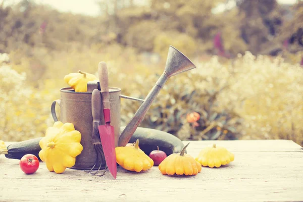 Día Acción Gracias Concepto Sobre Fondo Madera —  Fotos de Stock