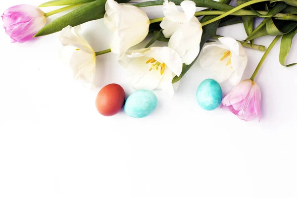 Tulipas Brancas Suaves Com Ovos Multicoloridos Fundo Branco — Fotografia de Stock