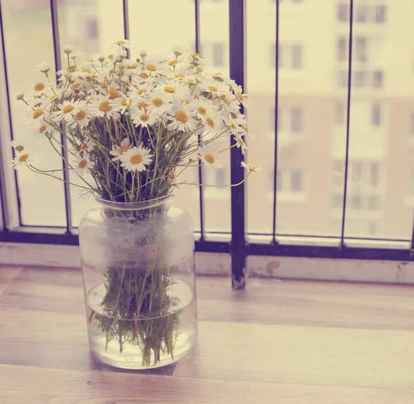 데이지 화려하 부드러운 꽃다발 — 스톡 사진