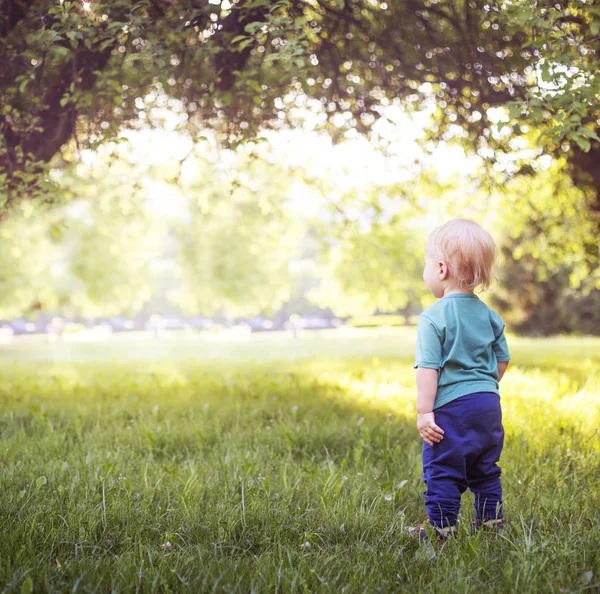 Niño Pequeño Pie Hierba Del Prado Verano Parque Soleado —  Fotos de Stock