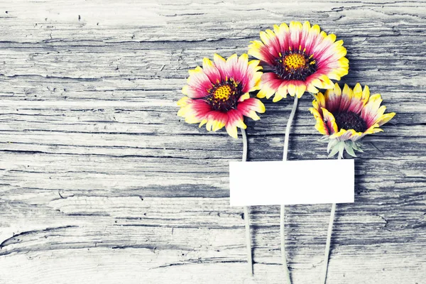 Draufsicht Auf Schöne Sonnenblumen Über Holzgrund Mit Grußkarte — Stockfoto