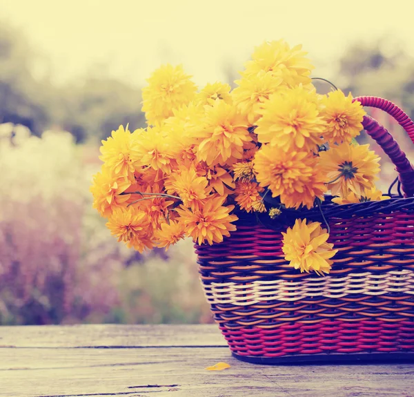 バスケット屋外で明るい黄色の菊 — ストック写真