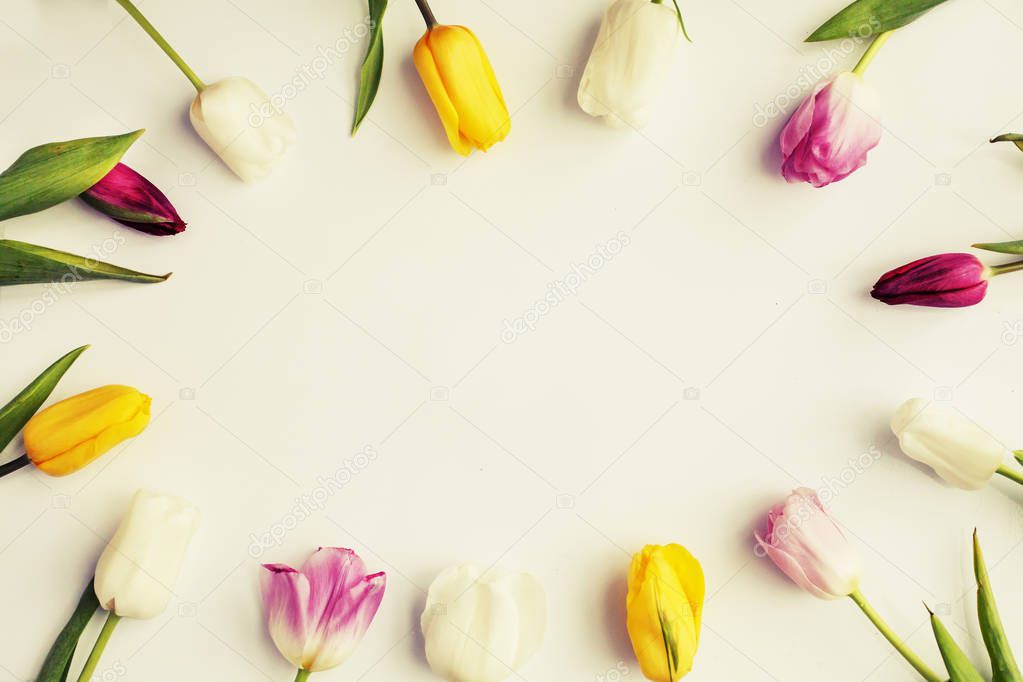 top view of beautiful colorful tulips over white background