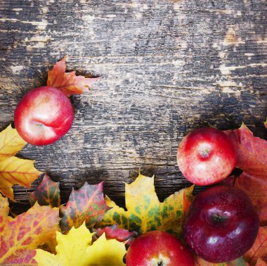 Şükran günü konsepti