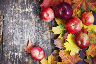 Şükran günü konsepti