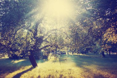 Güzel manzaralı muhteşem renkli doğa