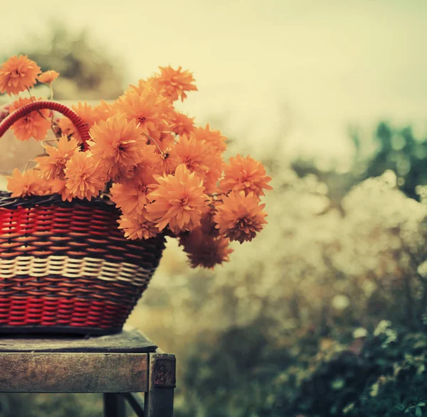 Yellow Field Flowers Wicker Basket Standing Chair Meadow — Stock Photo, Image