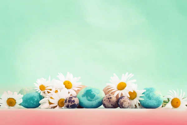 Pastel and colorful easter eggs with daisy flowers, copy space