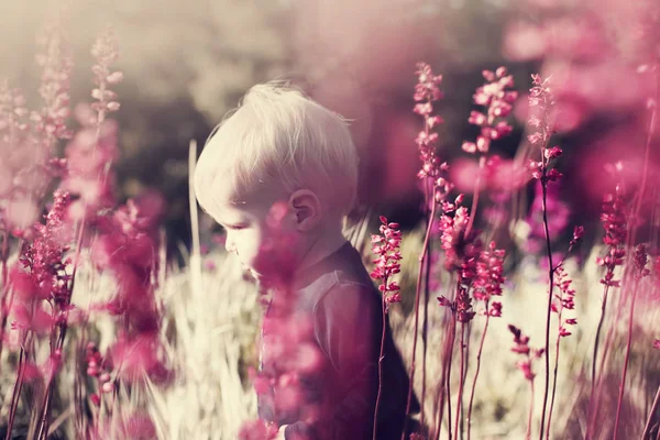 Blond Boy Standing Flowering Meadow Summer — Stock Photo, Image