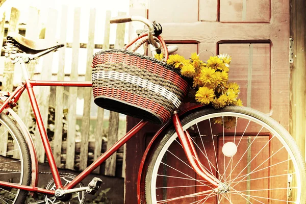 Gelbe Feldblumen Weidenkorb Auf Rotem Retro Fahrrad — Stockfoto