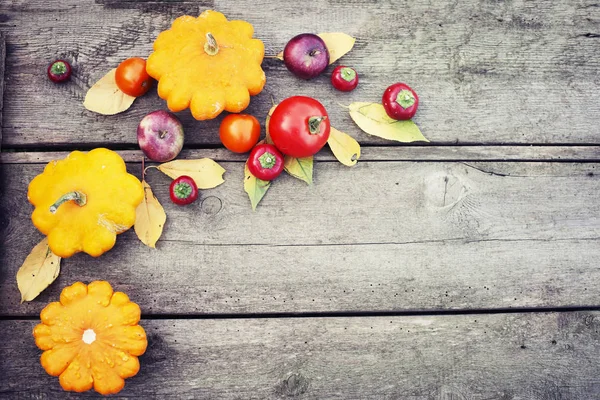 Frutta e verdura di stagione — Foto Stock