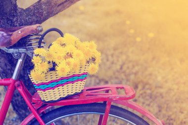 closeup vintage kırmızı bisiklet üzerinde asılı dandelions sepetle üzerinde