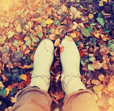 kişi Ayakkabı sonbahar düşen yapraklar üzerinde duran kırpılmış görüntü
