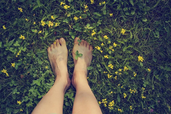 Vrouwelijke Voeten Permanent Groene Gras Met Gele Bloemen — Stockfoto