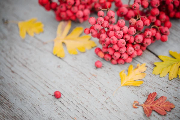 Top View Autumn Leaves Berries Wooden Table — Stock Photo, Image
