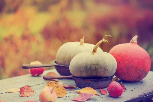 Fall pumpkins on wooden rustic table — Stock Photo, Image