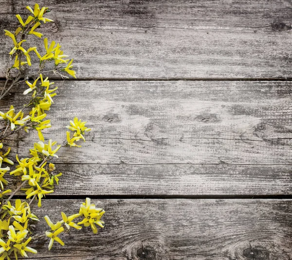 Gelbe Blumen Auf Holzgrund Mit Kopierraum — Stockfoto