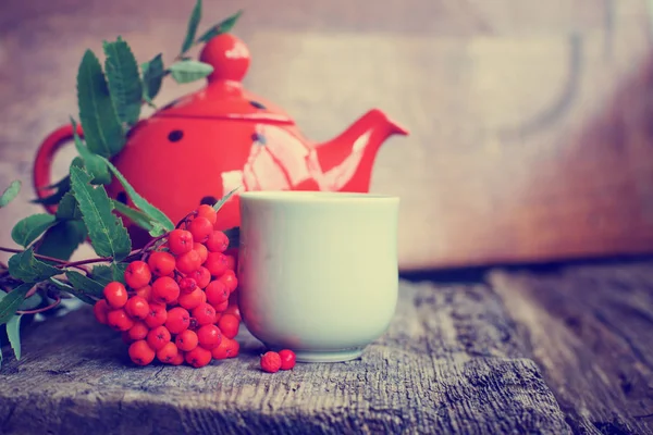 Hierbas Taza Con Bayas Rojas Maceta Punteada Mesa —  Fotos de Stock