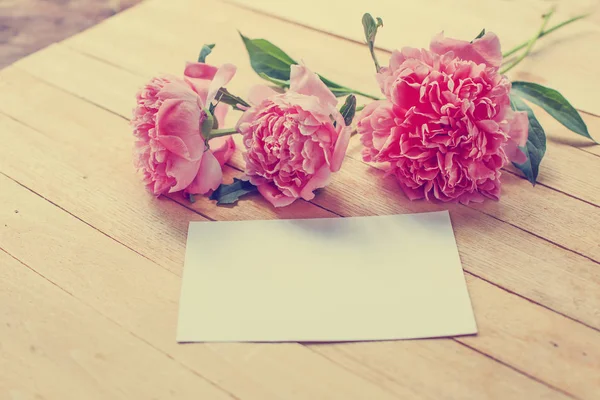 Úžasné Růžové Květy Dokument White Paper Kopie Místo Dřevěné Pozadí — Stock fotografie