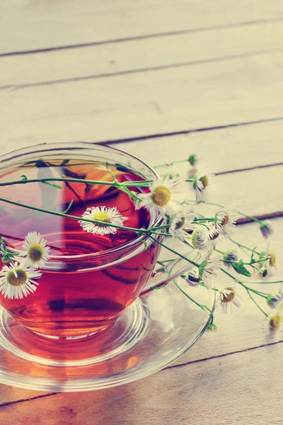 新鲜的茶杯与雏菊在木桌上的特写镜头视图 — 图库照片