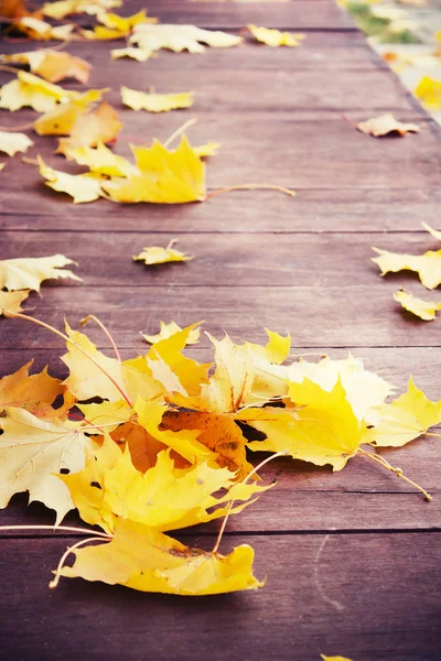 Autumnal Background Leaves Wooden Surface — Stock Photo, Image