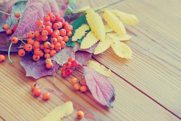 Thanksgiving Day Concept Wooden Background — Stock Photo, Image