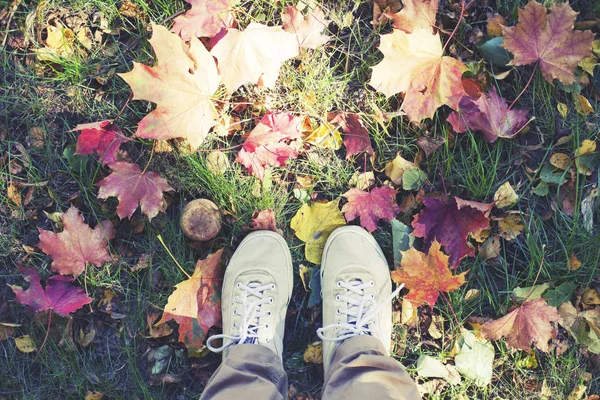 Imagen Recortada Persona Zapatos Pie Sobre Las Hojas Caídas Otoño — Foto de Stock