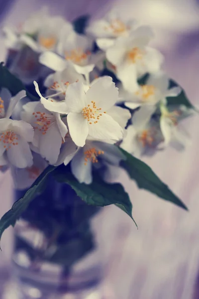 Close Bouquet White Daffodils Vase — Stock Photo, Image