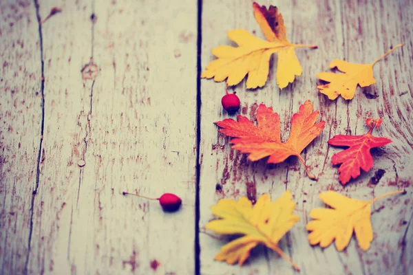 Blick Von Oben Auf Herbstblätter Mit Beeren Auf Holzgrund — Stockfoto