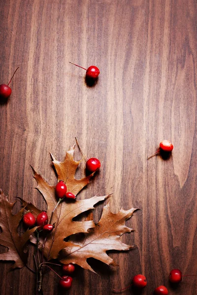 Vista Superior Las Hojas Otoño Con Bayas Colocadas Sobre Fondo — Foto de Stock