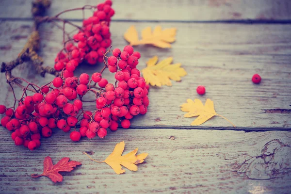 Top View Autumn Leaves Berries Wooden Table — Stock Photo, Image