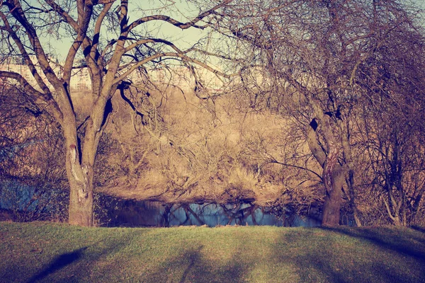 Vista Panorámica Del Hermoso Bosque Dorado Otoño Lago — Foto de Stock