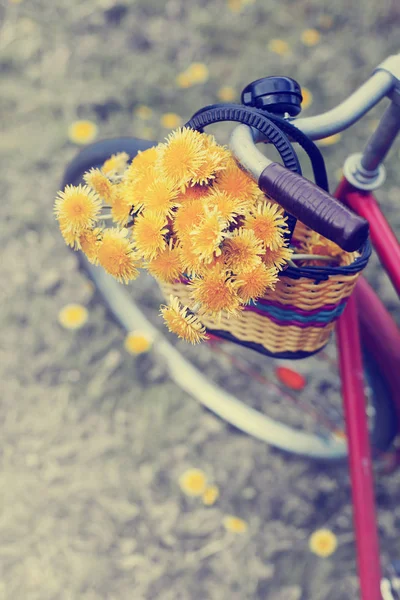 Nahaufnahme Auf Korb Mit Löwenzahn Der Auf Rotem Fahrrad Hängt — Stockfoto