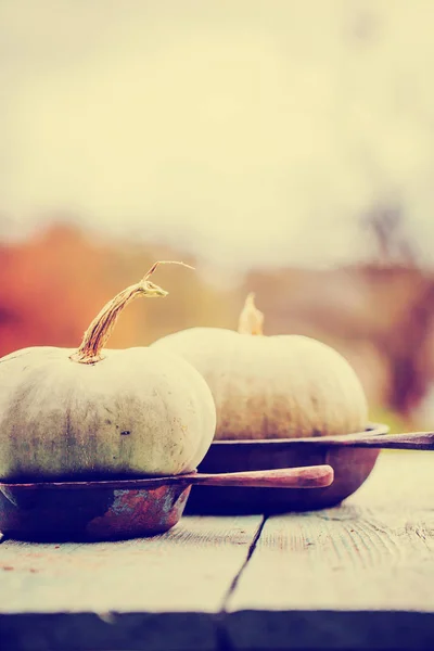 Calabazas de otoño sobre mesa rústica de madera —  Fotos de Stock