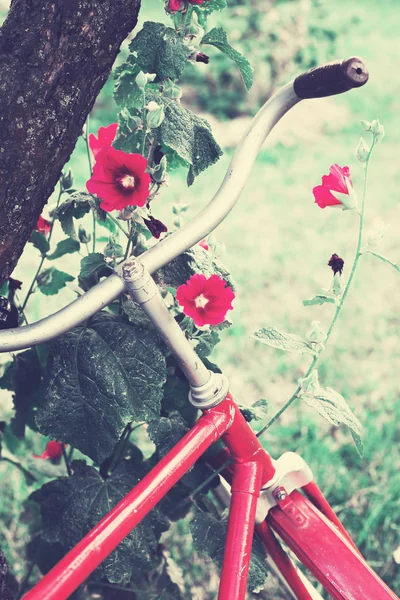 Czerwony Rower Stojąc Zielonym Ogrodzie — Zdjęcie stockowe