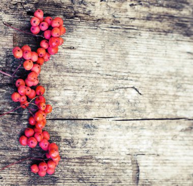 Şükran günü kavramı ahşap arka plan üzerinde