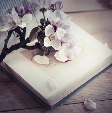 Yeşillik ve otlar ile inanılmaz çiçek açan çiçekler