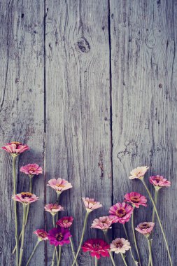 ahşap rustik yüzeyi parlak alan çiçek