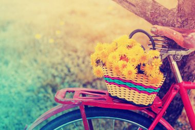 vintage bisiklet üzerinde asılı dandelions sepetle closeup görünümü