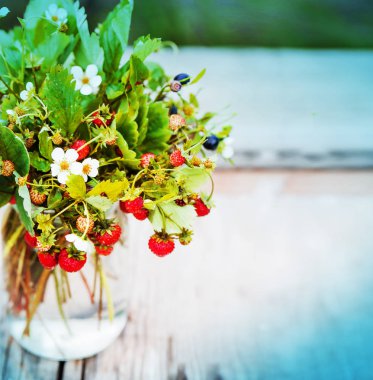 Yaban çilekleri ve yaban mersini yaprak ve Çiçek vazosu ile taze demet
